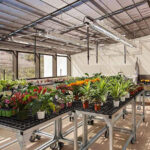 The Year-Round Bounty and Bliss of Owning a Home Greenhouse