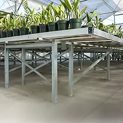 growing-benches-67f41bfe697bc